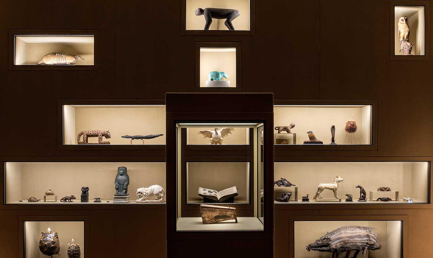 Installation view of Spitzmaus Mummy in a Coffin and other Treasures