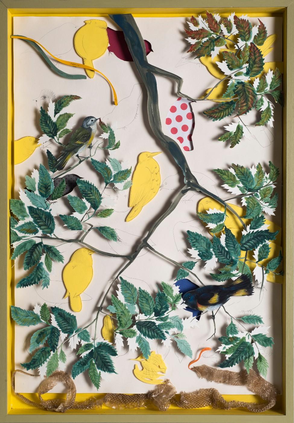 Hitnes, American Redstart (Story of a Birdwatcher), 2017