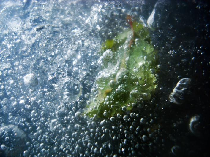a sheet of frozen ice filled with bubbles