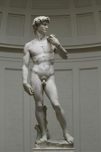 Michelangelo, David, 1501-1504. Marble. Florence, Galleria dell'Accademia. 